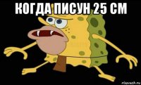 когда писун 25 см 