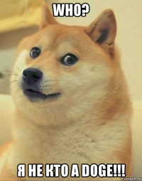 who? я не кто а doge!!!