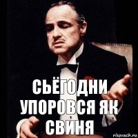 сьёгодни упоровся як свиня