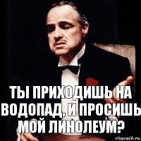 ты приходишь на водопад, и просишь мой линолеум?