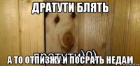 дратути блять а то отпизжу и посрать недам