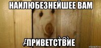 наилюбезнейшее вам приветствие