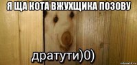 я ща кота вжухщика позову 