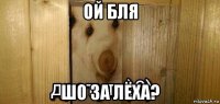 ой бля шо за лёха?