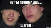 ну ты понимаешь... щегол