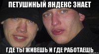 петушиный яндекс знает где ты живешь и где работаешь