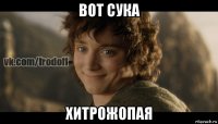 вот сука хитрожопая