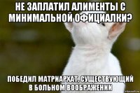 не заплатил алименты с минимальной официалки? победил матриархат, существующий в больном воображении