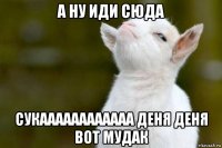 а ну иди сюда сукаааааааааааа деня деня вот мудак