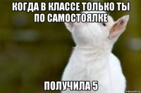 когда в классе только ты по самостоялке получила 5