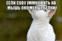 если сову уммножить на мышь оно менше белки 