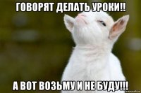 говорят делать уроки!! а вот возьму и не буду!!!