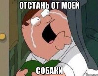 отстань от моей собаки