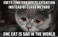 evety time you write extention instead of class method one cat is sad in the world