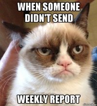 when someone didn't send weekly report