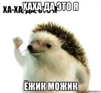 хаха да это я ёжик можик