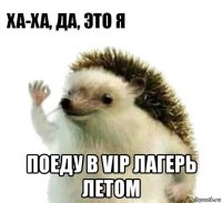  поеду в vip лагерь летом