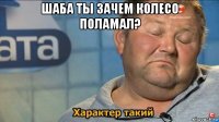 шаба ты зачем колесо поламал? 