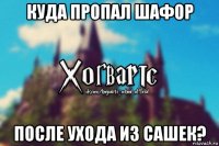 куда пропал шафор после ухода из сашек?