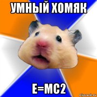 умный хомяк е=mc2