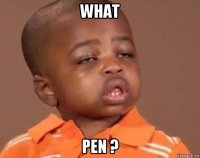 what pen ?