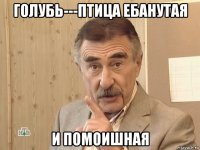 голубь---птица ебанутая и помоишная