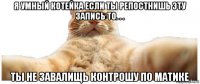 я умный котейка если ты репостнишь эту запись то. . . ты не завалищь контрошу по матике