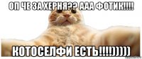 оп че за херня?? ааа фотик!!!! котоселфи есть!!!!)))))