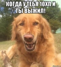 когда у тебя 10хп и ты выжил! 