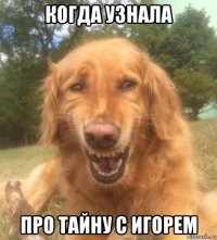 когда узнала про тайну с игорем