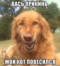 вась прикинь, мой кот повесился