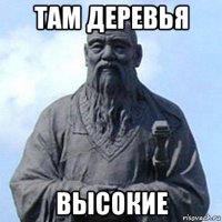 там деревья высокие