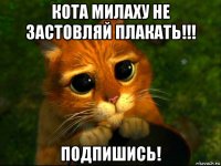 кота милаху не застовляй плакать!!! подпишись!