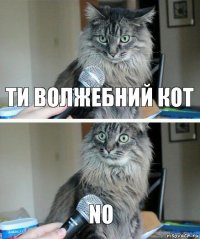 ти волжебний кот no