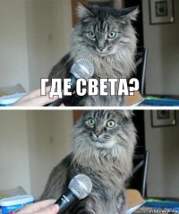 Где Света? 