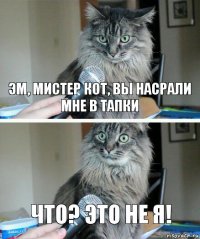 эм, мистер кот, вы насрали мне в тапки ЧТО? ЭТО НЕ Я!