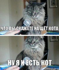 Что вы скажете на щёт Кота Ну я и есть кот