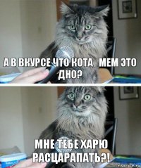 А в вкурсе что Кота_мем это дно? Мне тебе харю расцарапать?!