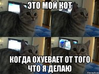 это мой кот когда охуевает от того что я делаю