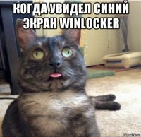 когда увидел синий экран winlocker 