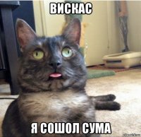 вискас я сошол сума