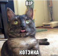 rip котэйка