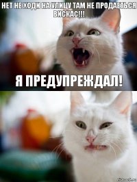 нет не ходи на улицу там не продаеться вискас!!! я предупреждал!