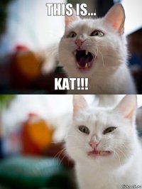 This is... KAT!!!