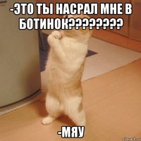 -это ты насрал мне в ботинок???????? -мяу