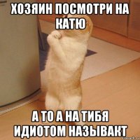 хозяин посмотри на катю а то а на тибя идиотом называкт