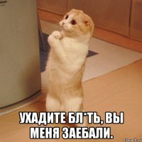  ухадите бл*ть, вы меня заебали.