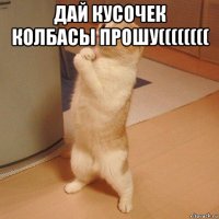 дай кусочек колбасы прошу(((((((( 