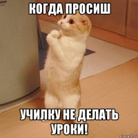 когда просиш училку не делать уроки!