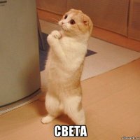  света